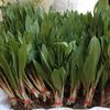 RAMPS ARE IN THE GREENMARKET